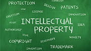 Cyprus intellectual property rights investigator